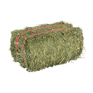 Nouvel achat foin d'herbe de luzerne biologique dans la vente en gros de granulés de foin de luzerne pour l'alimentation animale - Product Image 6
