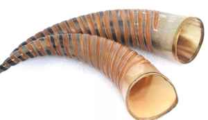 Ornement en corne naturelle de style médiéval authentique Décoration animale sculptée à la main pour boissons Artisanat naturel polonais artisanal indien - Product Image 2