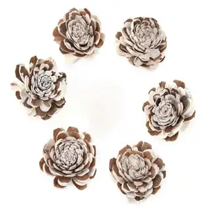 ดอกไม้โซล่าหลายเบลีทําด้วยมือคุณภาพดีสําหรับงานแต่งงานตกแต่งโฮมออฟฟิศและการจัดดอกไม้แห้ง - Product Image 1