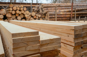 Troncos de Pino Radiata de Alta Calidad |   Troncos de Madera Redondos Secados al Horno y Sin Tratar, Suministro a Granel - Product Image 5