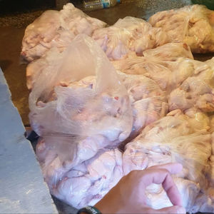 ไก่แช่แข็งฮาลาลเกรดพรีเมียมทั้งตัวและส่วนต่างๆ สำหรับขาย - Product Image 1