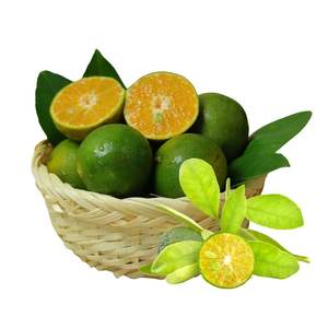 Calamansi Fresco de Vietnam de Alta Calidad para Exportación, Venta al por Mayor de Frutas y Bebidas - Product Image 1