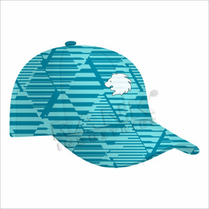 Casquettes de sport au design nouveau, logo personnalisé, polyester et coton, légères, prix bas. - Product Image 2