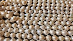 Hebras de perlas cultivadas de arroz de agua dulce blanco de alta calidad, cuentas naturales sin tratar para hacer joyas, cambio de Color, DIY, sueltas - Product Image 6