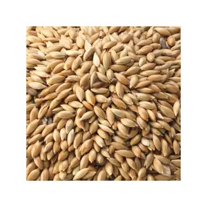 Cheap canary seed canary bird seed for bird food white perilla Bird Seeds For Sale