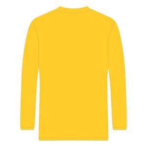 Camiseta de Manga Larga Dorada con Bordado Chenille 100% Algodón, Estilo Universitario HBCU, Ropa de Hermandad Griega Divine Nine, Camiseta Personalizada de Moda - Product Image 3