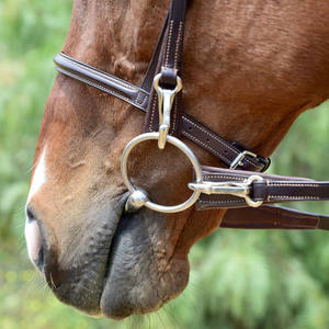 Brida de caballo ecuestre OEM de alta calidad en Tipo de rienda de cuero alemán para montar logotipo personalizado - Product Image 5
