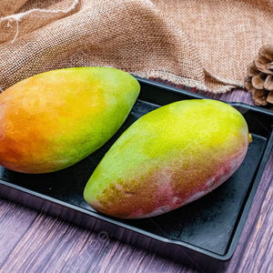 Masticables de Mango Real del Río Mekong, Textura Suave Premium y Dulzura Dorada - Product Image 1