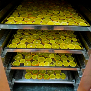 ARTÍCULO CALIENTE 2025-REBANADAS DE NARANJA SECAS NATURALES DE VIETNAM - Product Image 2