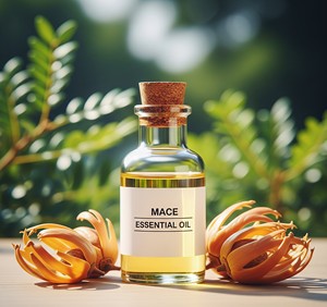 Aceite esencial de maza Natural puro a granel al por mayor 100% vapor destilado grado terapéutico Myristica Fragrans aceite para aromaterapia - Product Image 2