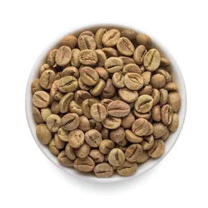 Die besten Arabica Green Coffee Beans aus Vietnam saisonales Produkt grüner Stil-Nachhaltige und ethische Beschaffung