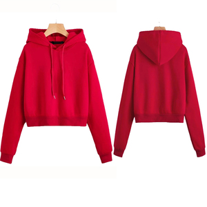 เซ็ตกางเกงกันหนาวแบบมีฮู้ดสำหรับผู้หญิงเซต2ชิ้นเสื้อครอปฮู้ดและกางเกงวิ่งชุดแนวสตรีท - Product Image 5