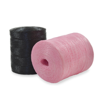 Usine indienne haute ténacité PP multifilament fil petit gros tomate ficelle presse fil filet de pêche ficelle polyester emballage