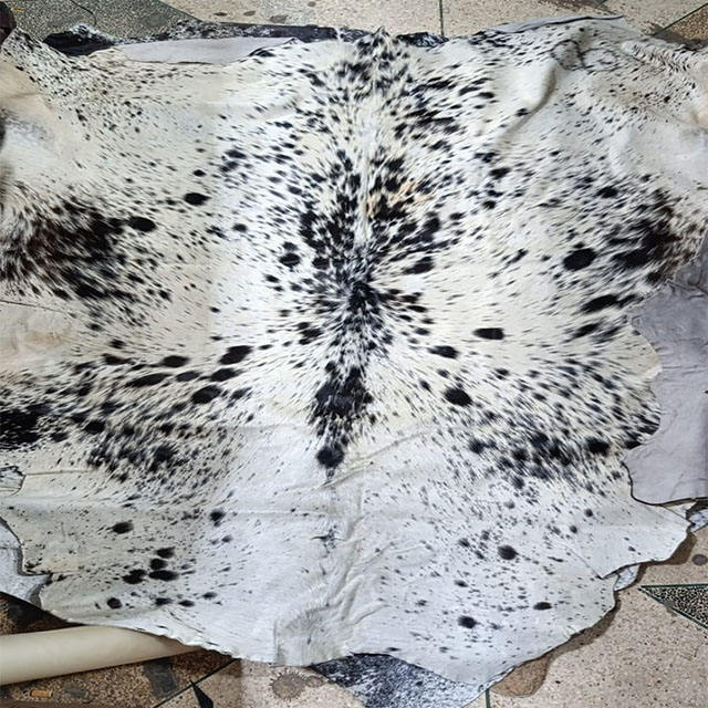 จุดดำบนพื้นขาว