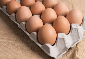 Huevos Frescos de Gallina de Corral para Venta al por Mayor a Precio Económico - Product Image 6
