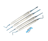 Kit de 4 instruments dentaires manuels en acier inoxydable de haute qualité pour composites, pointes argentées, légers et réutilisables