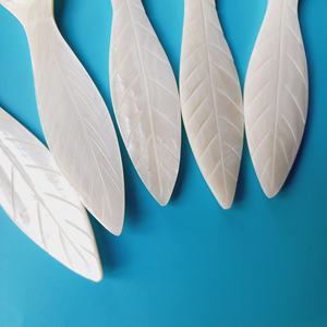 Feuille réutilisable conception Unique de coquille cuillère Caviar petite cuillère en coquille nacre du Vietnam vadrouille blanche à Long manche - Product Image 3