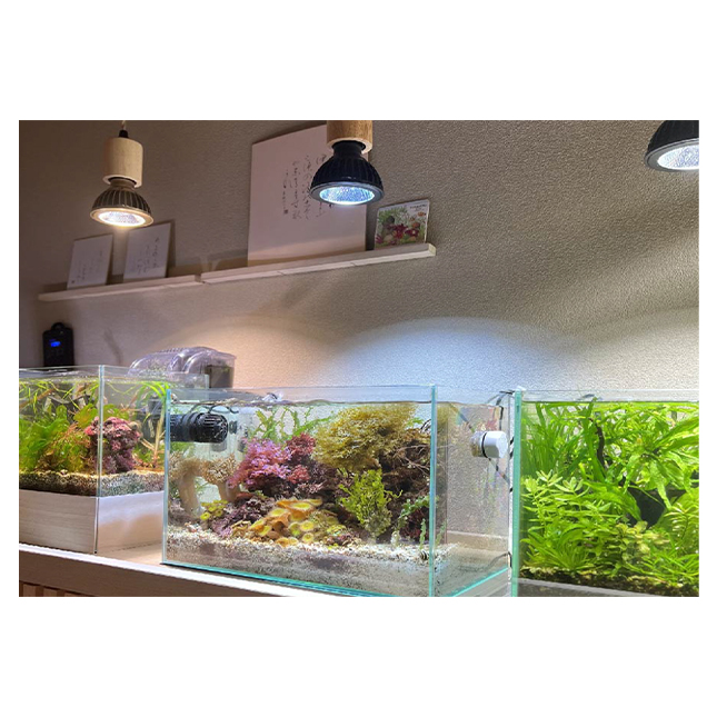 SUSANOO High Lumen 10W E26 LED Aquarium Light Waterproof Good Sale