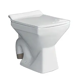 Eksportir terkemuka dari lemari air Modern desain pedesaan Dual Flush keramik putih One Piece untuk dijual