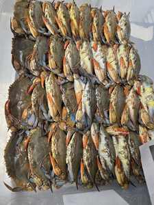 Crabes du Pacifique surgelés IQF en vrac avec une durée de conservation de 12 mois - Prix bas - Product Image 5