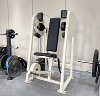 Machine de musculation professionnelle PowerX à bras droit pour exercices de tirage dorsal