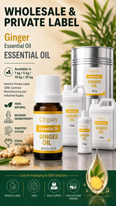 Bulk Pure Ginger <b>Essential</b> <b>Oil</b> Zingiber Officinale Steam Distilled Wholesale Private Label OEM Massage Warming Aromatherapy ODM - Product Image 3