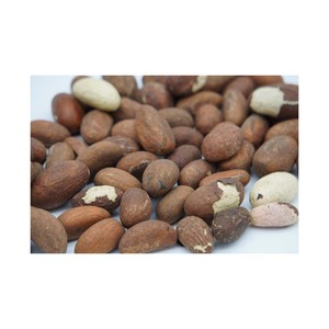 Garcinia Kola เพื่อสุขภาพราคาถูก (Kola ขม) - Product Image 6
