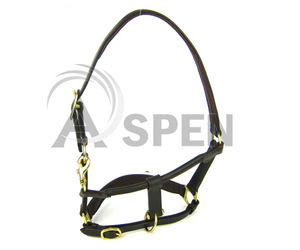 Cabestro de caballo de cuero Premium con herrajes de Latón | Diseño acolchado ajustable. - Product Image 3