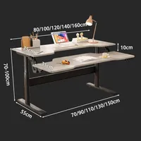 Escritorio Gaming de Fibra de Carbono OEM, Altura Ajustable, Elevación Eléctrica, Estación de Trabajo para Computadora, Muebles de Oficina en Casa de Lujo Ligero para el Hogar