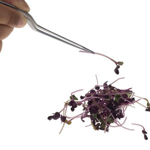 Pinzas de Cocina SI-KT-1 2026 de Acero Inoxidable, Puntas Dentadas de Precisión Manual, Instrumentos Médicos de Cocina de 12 Pulgadas SUBHAN - Product Image 3