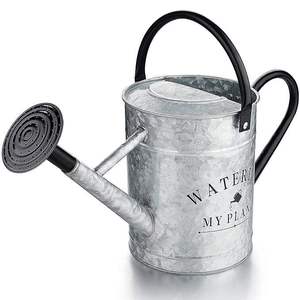 Arrosoir en métal robuste pour l'extérieur, parfait pour les passionnés de plantes, offrant une distribution d'eau stable et une forte adhérence. - Product Image 1