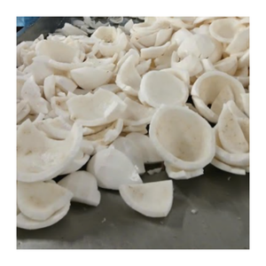 Venta al por mayor de carne de coco congelada proveedor de Vietnam OEM y etiqueta privada disponible - Product Image 6