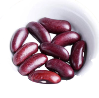 <strong>Best</strong> <strong>Selling</strong> Bulk Fresh <strong>Red</strong> <strong>Kidney</strong> <strong>Beans</strong> 25kg Available