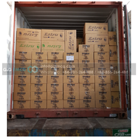 Bonbons à mâcher Mentoss à la menthe 475,2g - Emballage en boîte, vente en gros et approvisionnement au Vietnam