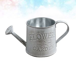 Bidon d'eau galvanisé de qualité supérieure avec une grande capacité pour arroser les pots de lits de jardin et les plantes suspendues - Product Image 5