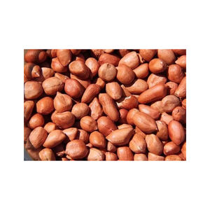 At Low Price High Quality Dried Organic Red Skin <b>Peanuts</b> Available for Sale at Low Price High Quality Raw <b>Peanuts</b> - Product Image 2