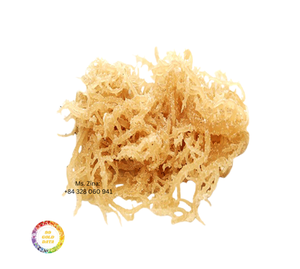 Organic Premium <b>Dried</b> Sea <b>Moss</b> 100% Raw Large Quantity Cheap Price Directly From Vietnam Farm with Bag Packaging - Product Image 1