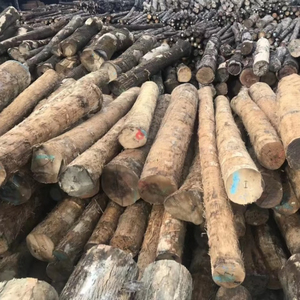 Bois de hêtre en gros, épaisseurs de 1, 1,5, 2 et 3 pouces, pour la fabrication d'armoires et les projets de menuiserie sur mesure, approvisionnement mondial - Product Image 5