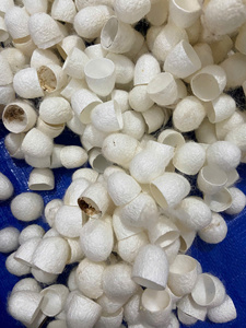 COTON DE SOIE VIETNAMIEN DE HAUTE QUALITÉ AVEC DES MATÉRIAUX NATURELS ET DE MULTIPLES AVANTAGES POUR LA BEAUTÉ ET LE SOIN DE LA PEAU - Product Image 4