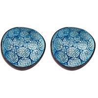 Bol en coquille de noix de coco, vente chaude, variété de formes utilisées pour la préparation des aliments, emballage personnalisé, fabricant vietnamien