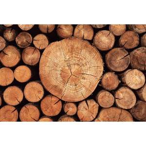 Bois d'oeuvre Prime Elite Bois de pin - Product Image 4