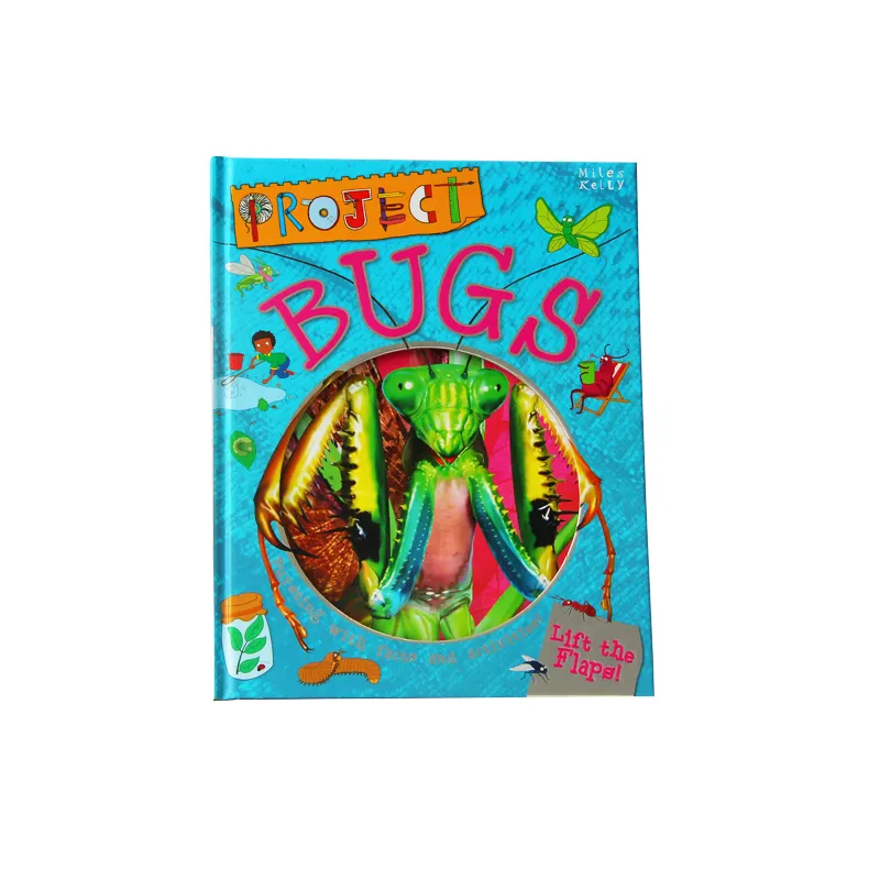Özel Anime böcek kitap erken çocuklar öğrenme kitapları