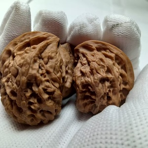 Tripletas de Bisonte Premium, um Colecionável Exótico. - Product Image 4