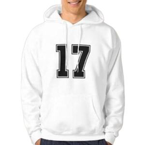 Wholesale Fashion Heavy Fleece Men's Sportswear Hoodies with Two-Panel Embroidered Knit Hood acid wash hoodies - Product Image 1