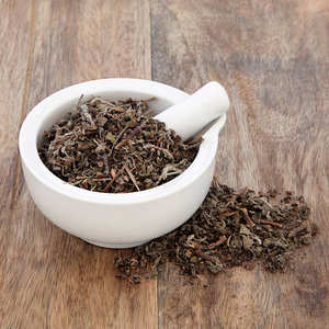 ใบตุลซี |   สมุนไพรอายุรเวทธรรมชาติ |   บริษัท บัลค์ โกลบอล ซัพพลาย อินเดีย - Product Image 5