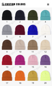 OEM قبعة تزلج شتوية للجنسين مع شعار تطريز ثلاثي الأبعاد قبعة صغيرة مخصصة للرياضة كاجوال للسفر بدون أكمام قبعة محبوكة دافئة - Product Image 5