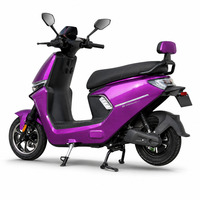 Moto de tourisme pour adultes 1000W 60V20Ah avec freins à disque avant et à tambour arrière, 45 km/h, violette