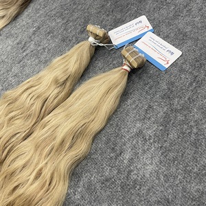 Super soldes : Extensions de cheveux naturels vietnamiens colorés à bandes adhésives – Sans nœuds, sans perte, super soyeux - Product Image 3