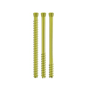 Tornillos Óseos de Alta Calidad 100% en Venta / Tornillo Pedicular de Cemento Óseo a Precio de Fábrica, Tornillo Óseo Espinal Doble - Product Image 6