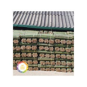 Poteaux en bambou fabriqués au Vietnam-Idéal pour les installations événementielles et agricoles-Naturel et durable - Product Image 5